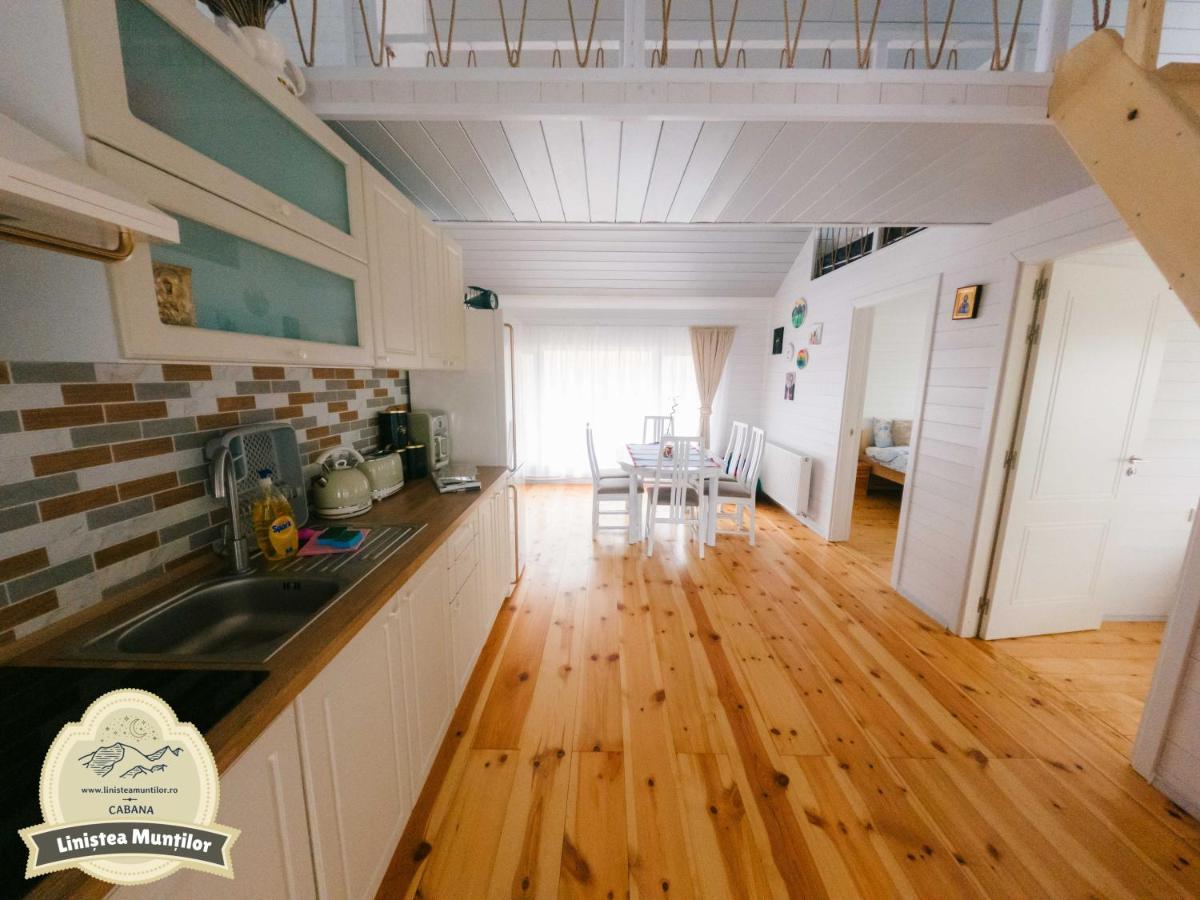 Linistea Muntilor Chalet Porumbacu de Sus Extérieur photo