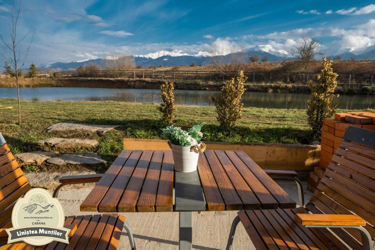 Linistea Muntilor Chalet Porumbacu de Sus Extérieur photo