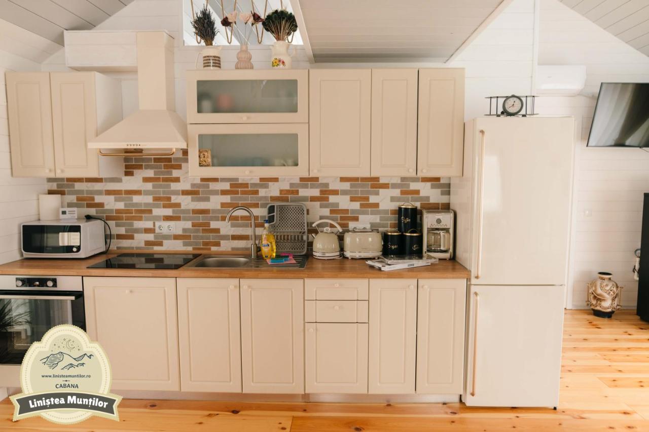 Linistea Muntilor Chalet Porumbacu de Sus Extérieur photo