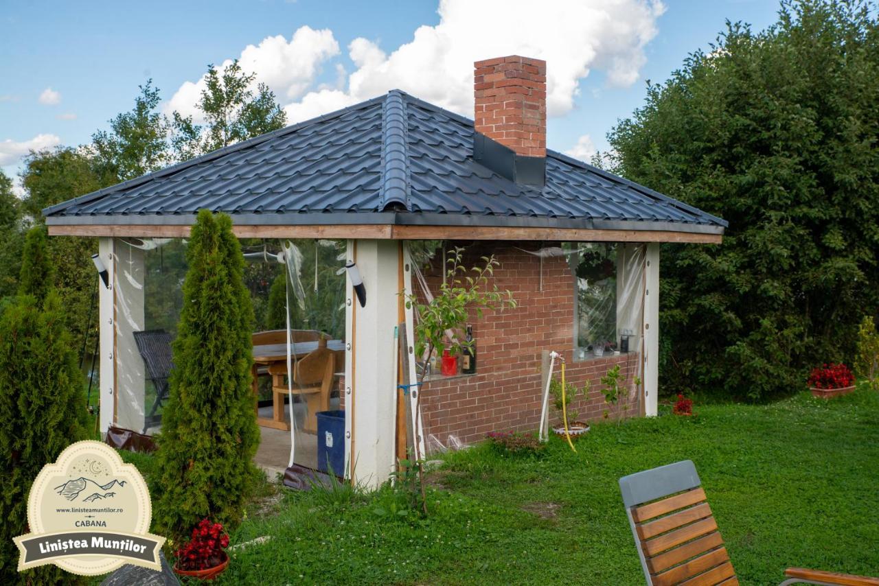 Linistea Muntilor Chalet Porumbacu de Sus Extérieur photo