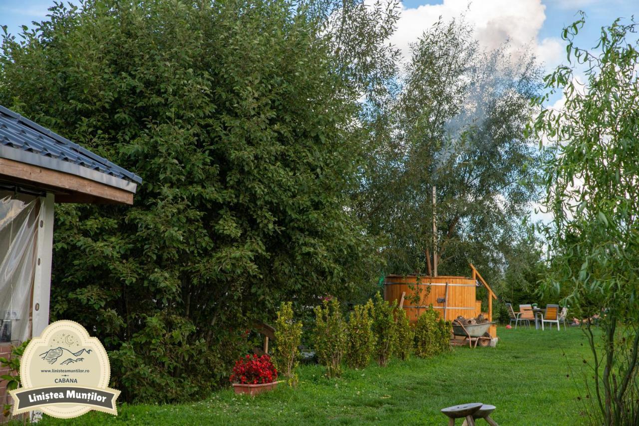 Linistea Muntilor Chalet Porumbacu de Sus Extérieur photo