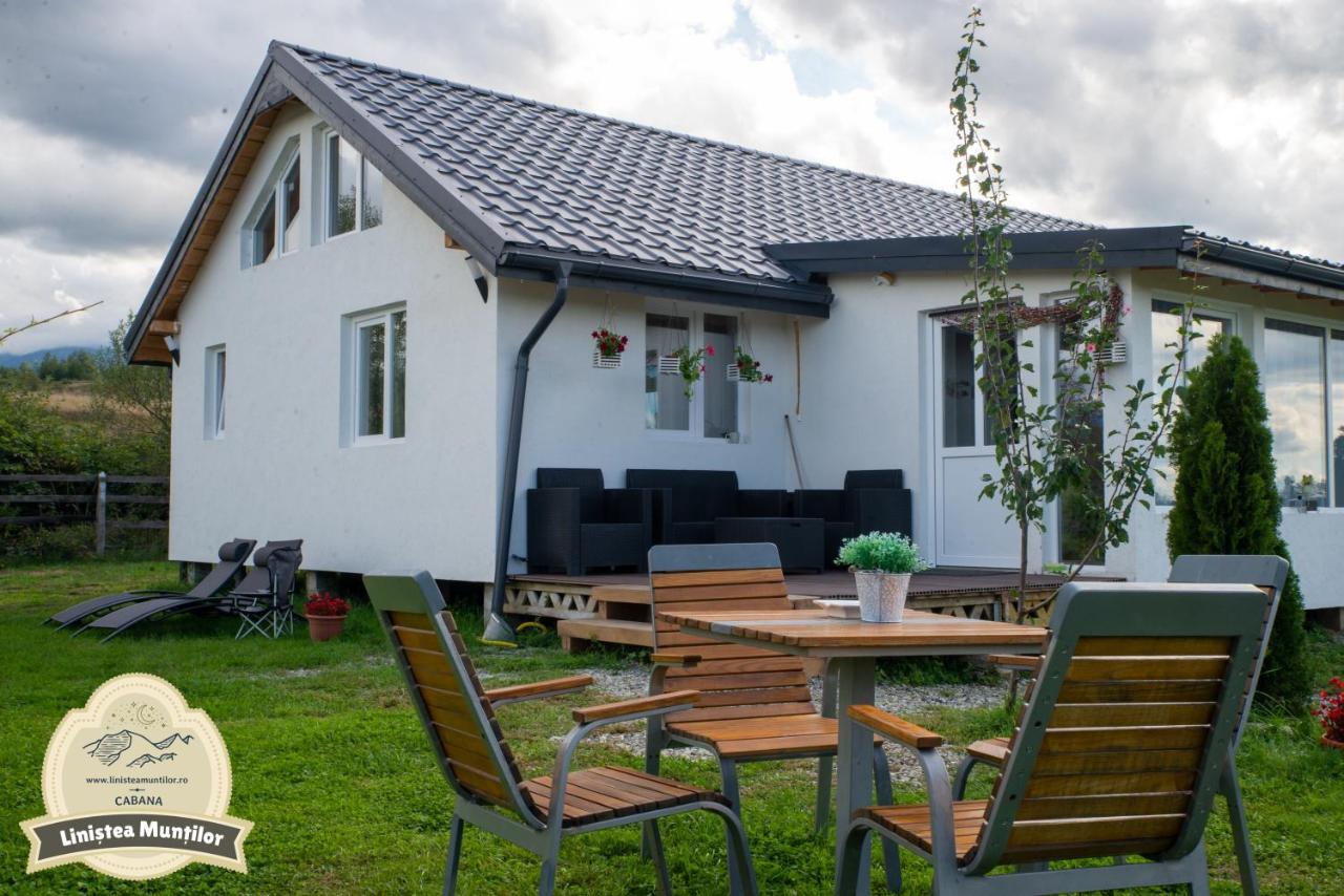 Linistea Muntilor Chalet Porumbacu de Sus Extérieur photo