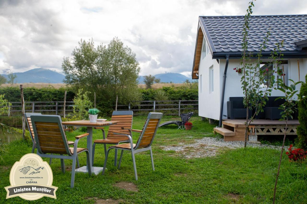 Linistea Muntilor Chalet Porumbacu de Sus Extérieur photo